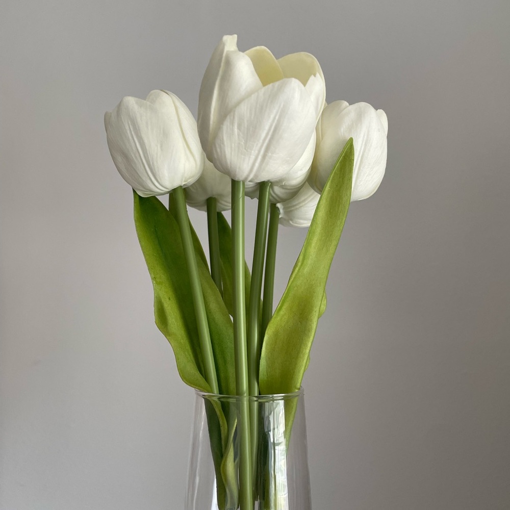 Mystery Bundle for Su